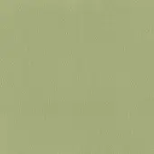 Moroso leather texture sample, light mint green, fine grain pattern with matte finish and subtle tonal variations.